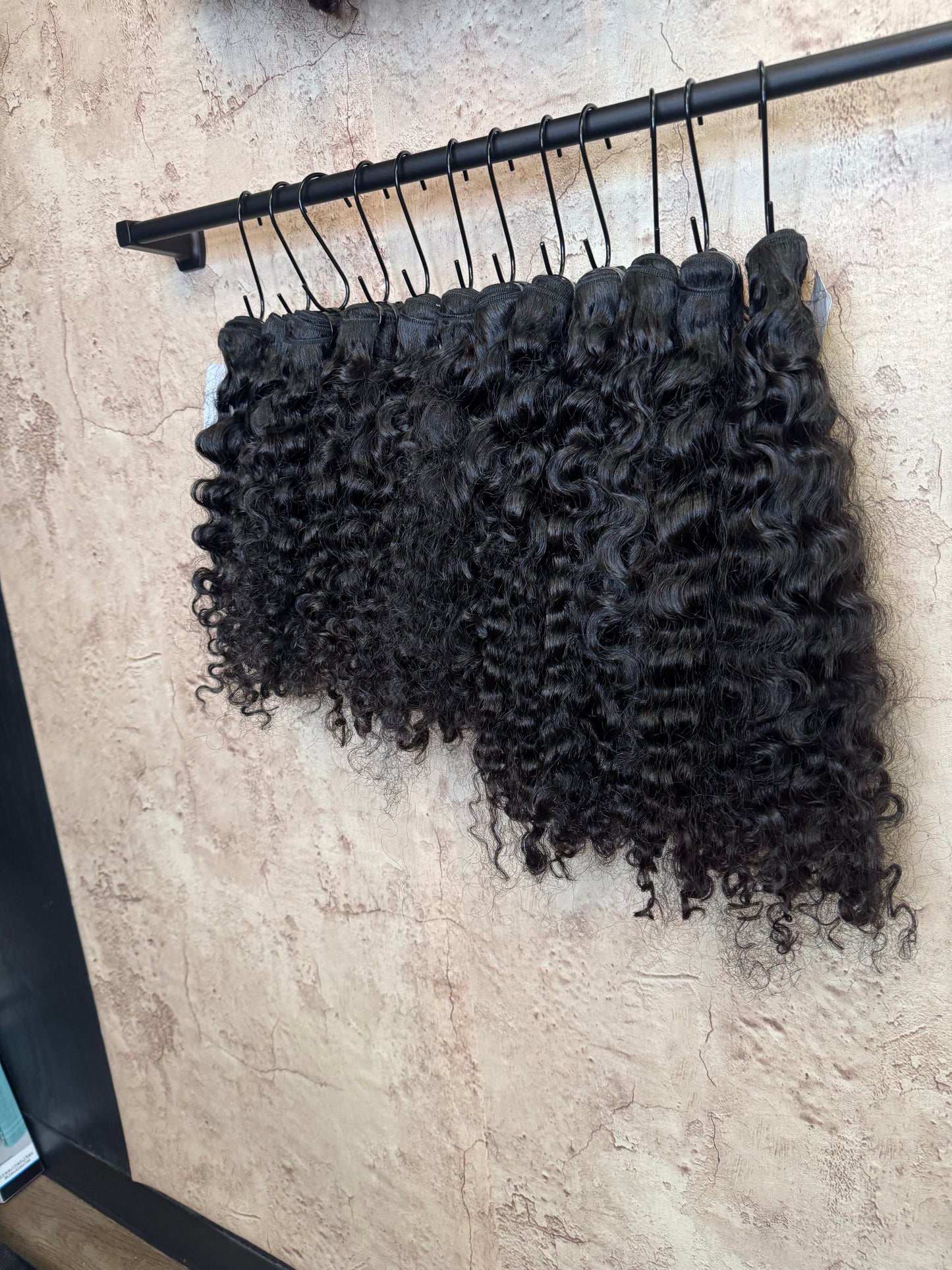 Burmese curly