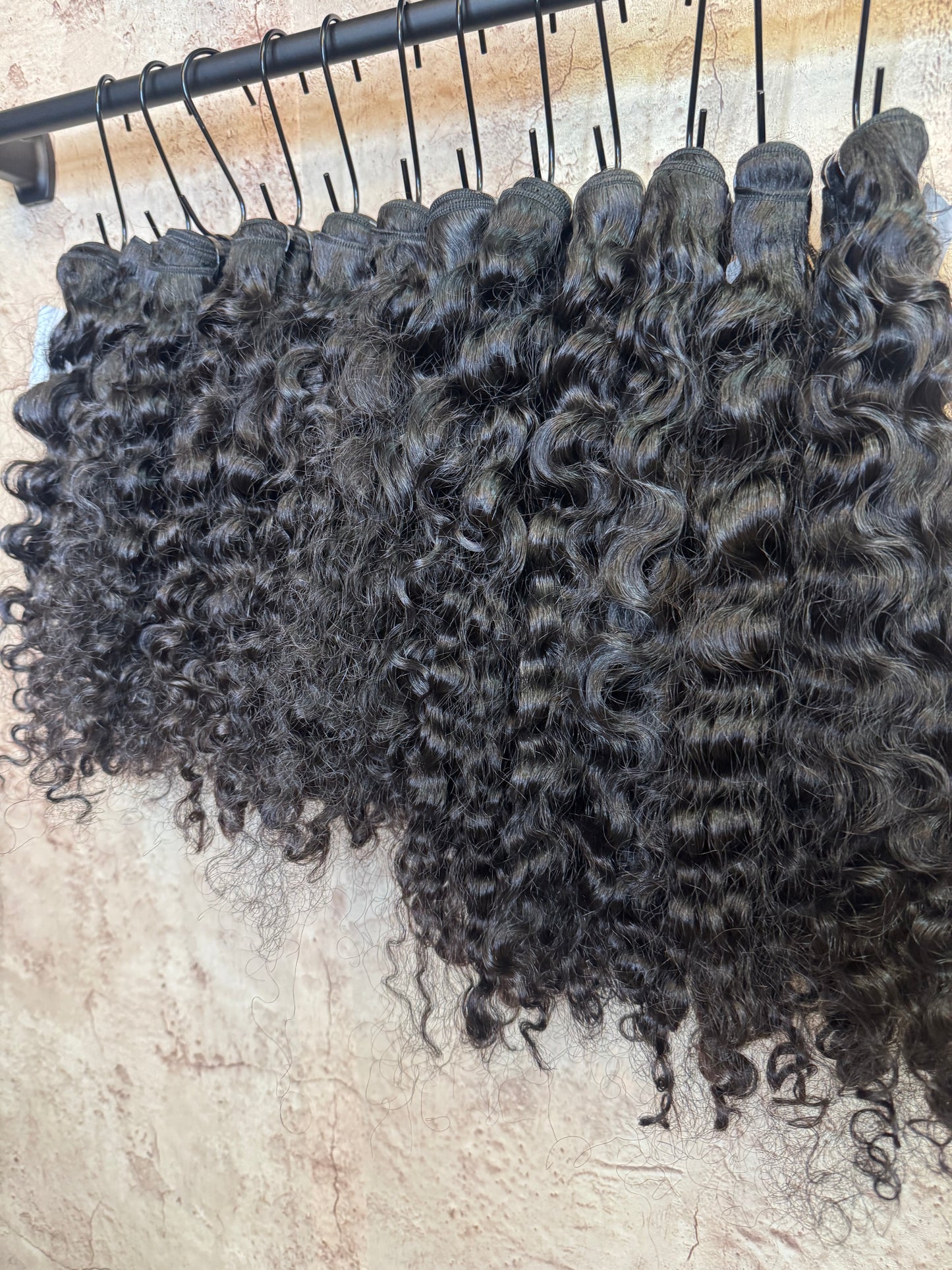 Burmese curly